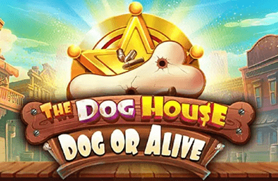 Dog House Dog or Alive