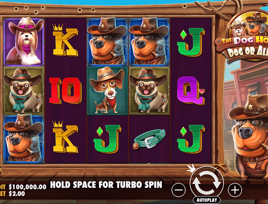 Dog House Dog or Alive